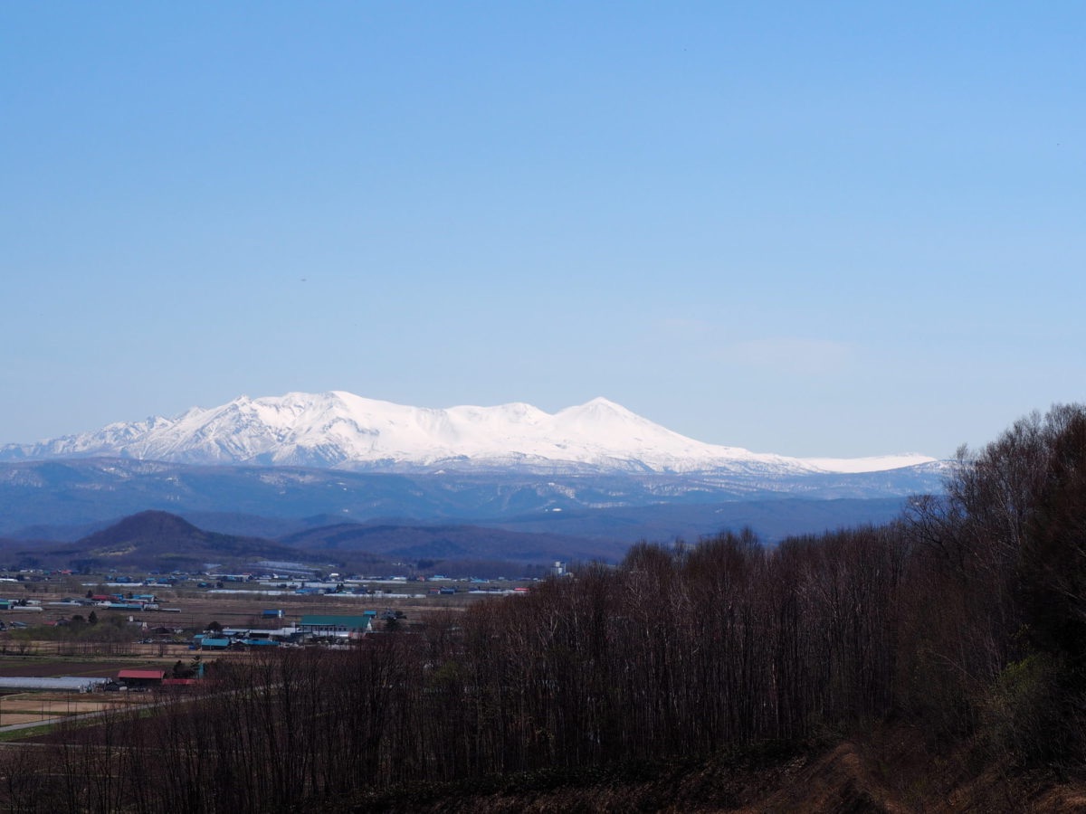 春の妖精 カタクリに会える突哨山へ行こう あれdo これdo 北海道