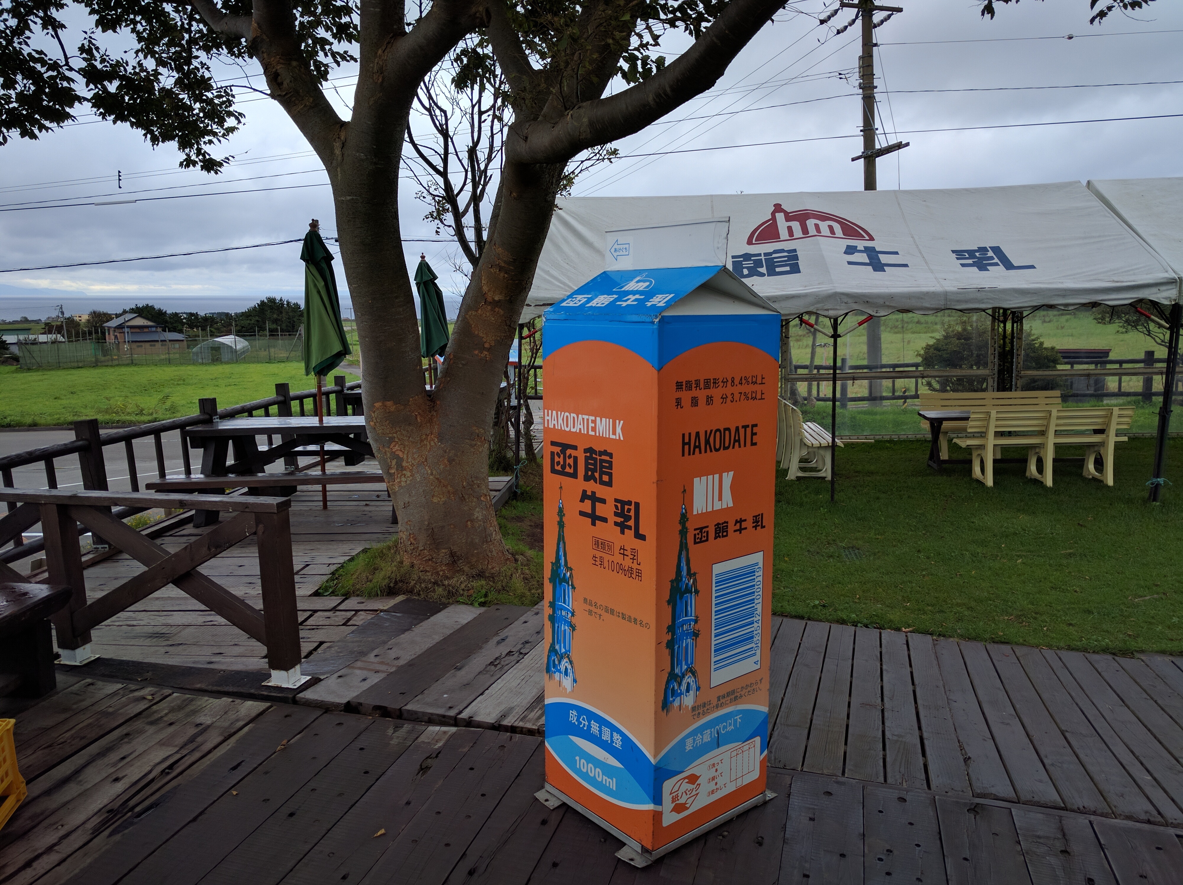 牛とふれあいアイスを味わう 函館牛乳あいす118 あれdo これdo 北海道