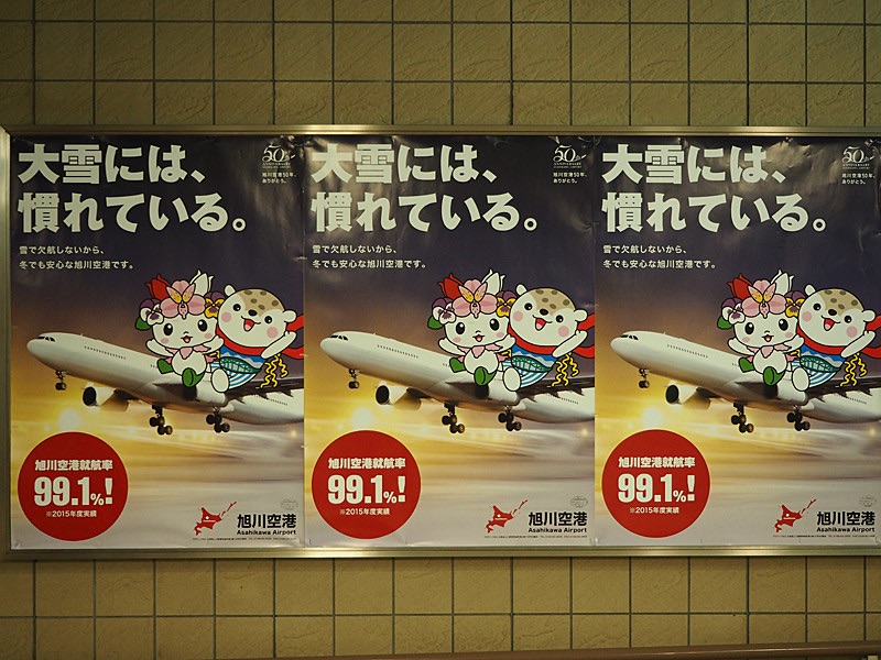 旭川一の人気者 あさっぴー あれdo これdo 北海道