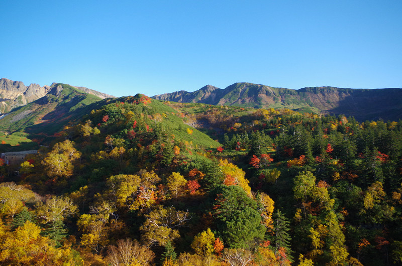 絶景の紅葉が楽しめる天空温泉 十勝岳温泉凌雲閣 あれdo これdo 北海道