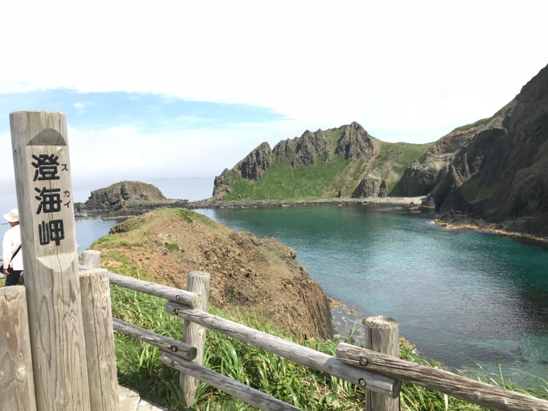 礼文島 花の浮島 植物や自然が好きな方におすすめ あれdo これdo 北海道