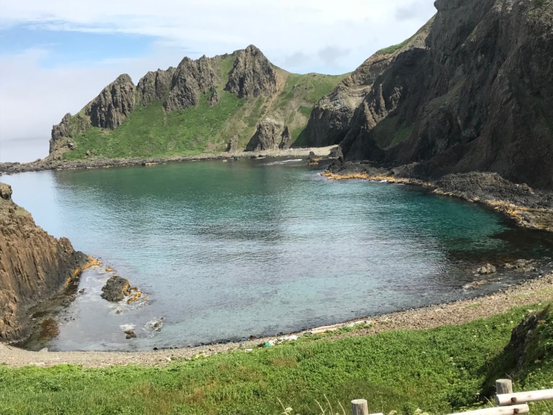 礼文島 花の浮島 植物や自然が好きな方におすすめ あれdo これdo 北海道