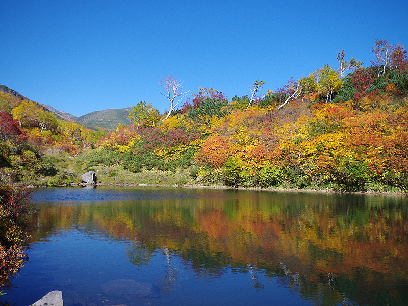 高原温泉沼めぐり 絶景の紅葉と秘湯が楽しめる魅惑のコース あれdo これdo 北海道