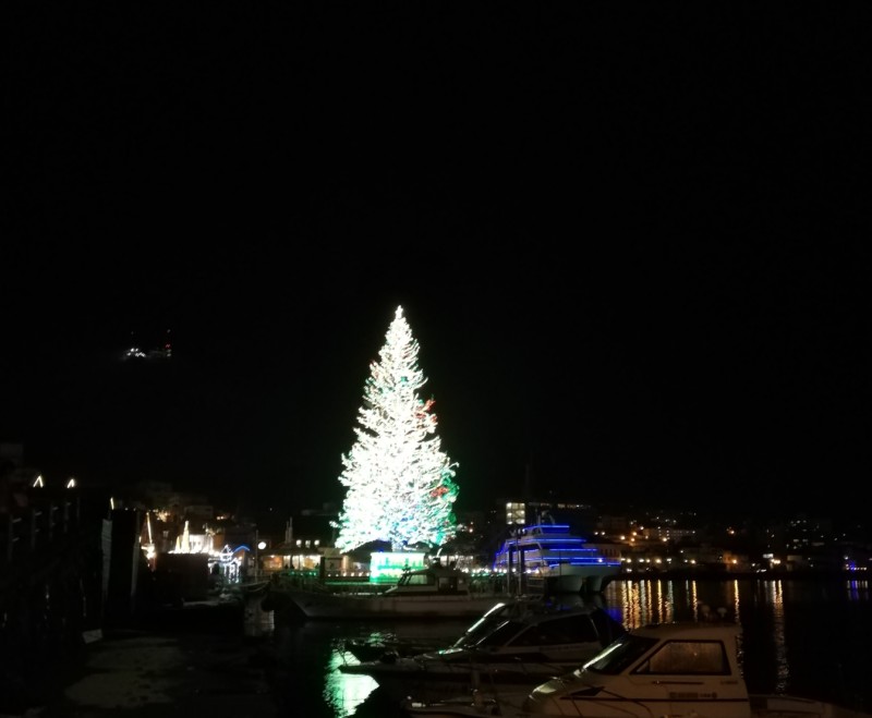 函館のクリスマスのおすすめスポットって あれdo これdo 北海道